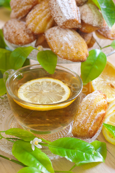 Lemon madeleines with tea Stock photo © Karaidel