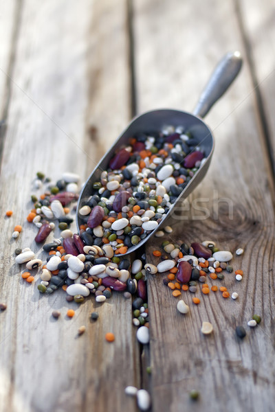 Mix of beans and lentil Stock photo © Karaidel