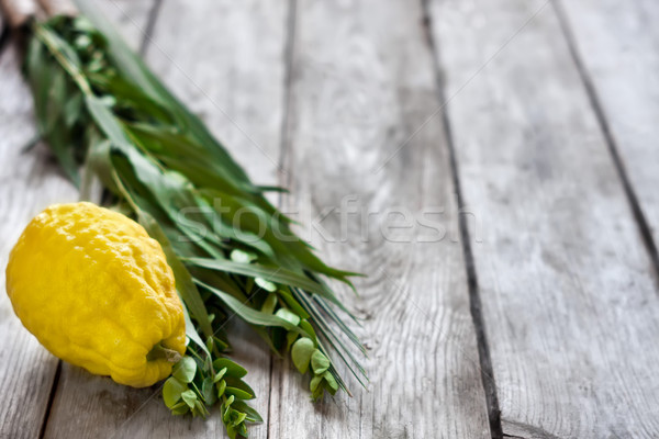 Symbols of Sukkot Stock photo © Karaidel