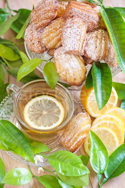 Lemon madeleines with tea Stock photo © Karaidel