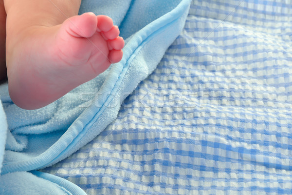 Bebê pé recém-nascido cobertor Foto stock © karammiri