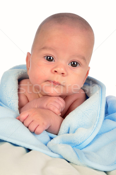 Pasgeboren baby gedekt zachte deken Stockfoto © karammiri