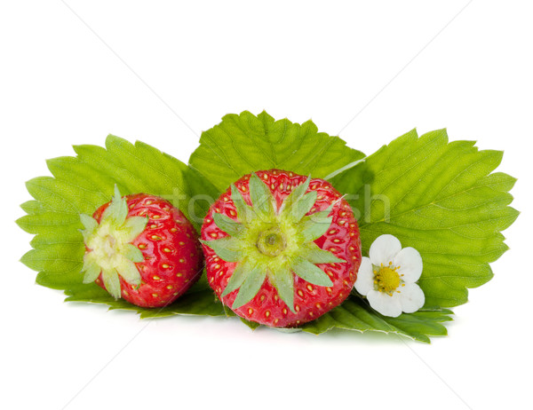Twee aardbei vruchten groene bladeren bloemen geïsoleerd Stockfoto © karandaev