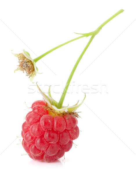 Stock photo: Fresh raspberry macro