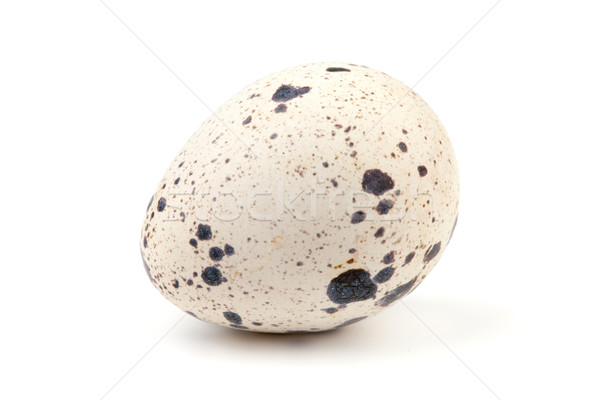 Een ei geïsoleerd witte voedsel natuur Stockfoto © karandaev