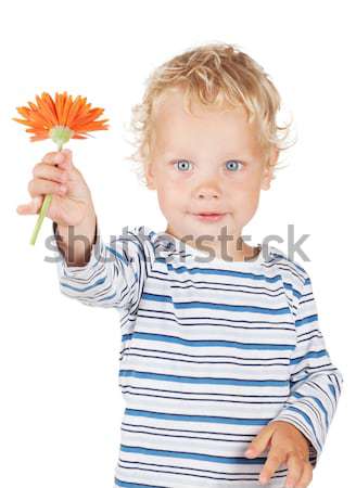 Blanco pelo rizado ojos azules bebé flor aislado Foto stock © karandaev