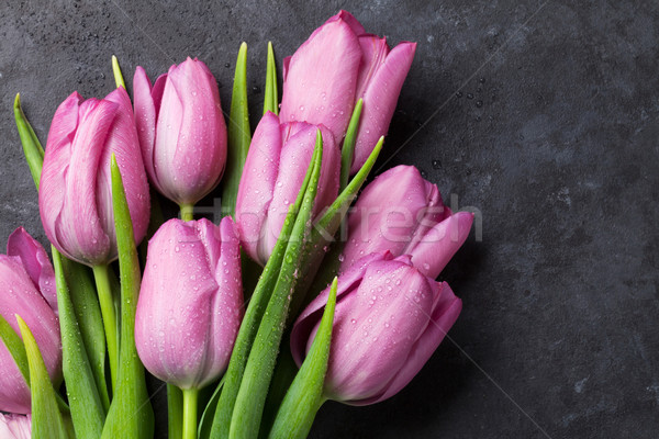 Fresh purple tulip flowers Stock photo © karandaev