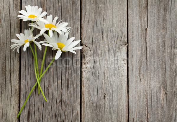 [[stock_photo]]: Daisy · camomille · fleurs · bois · vue · espace · de · copie