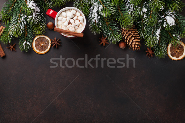Christmas background with hot chocolate and marshmallow Stock photo © karandaev