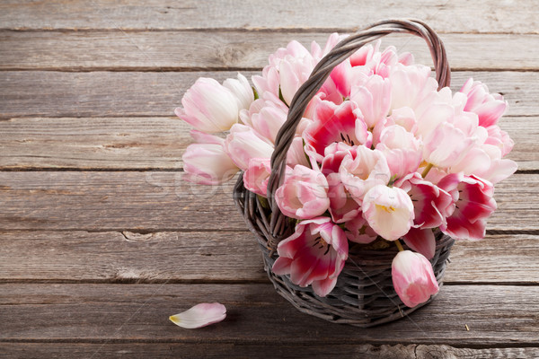 Pink tulips bouquet Stock photo © karandaev