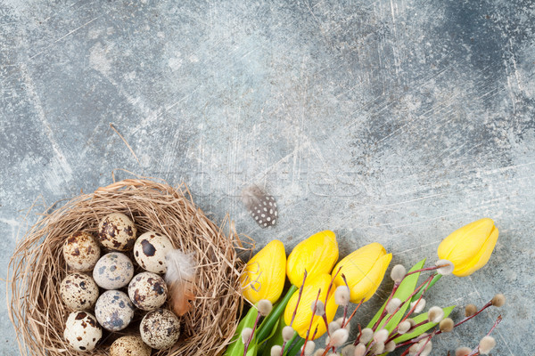 Quails eggs in nest and pussy willow. Easter greeting card Stock photo © karandaev