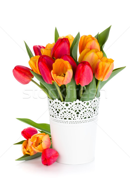 Foto d'archivio: Rosso · arancione · tulipani · fioriera · isolato · bianco