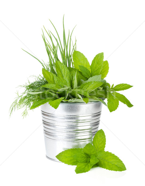Fresh herbs in metal bucket Stock photo © karandaev