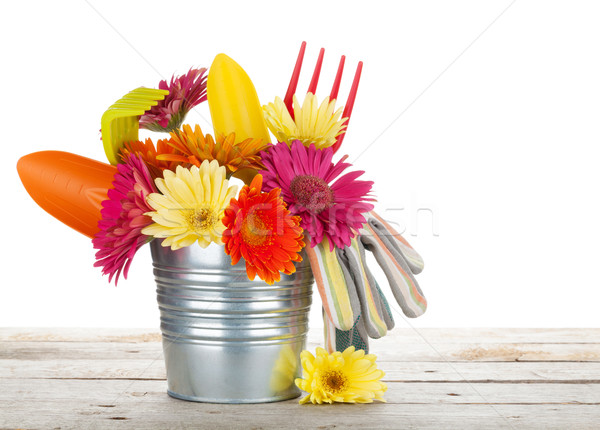 Renkli çiçekler bahçe araçları ahşap masa yalıtılmış Stok fotoğraf © karandaev