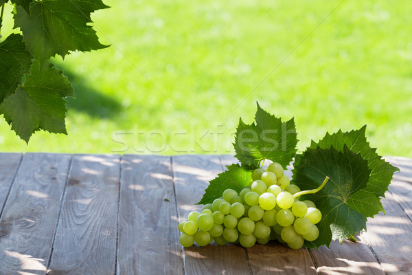 Stockfoto: Witte · druiven · tuin · tabel · exemplaar · ruimte