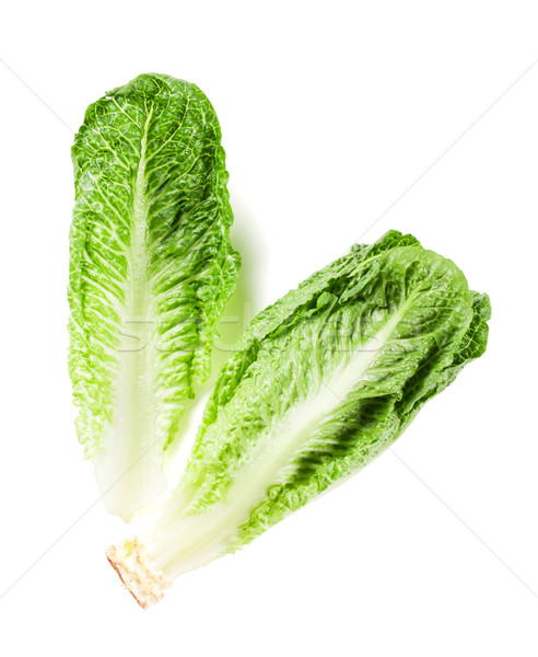 Romaine lettuce salad Stock photo © karandaev