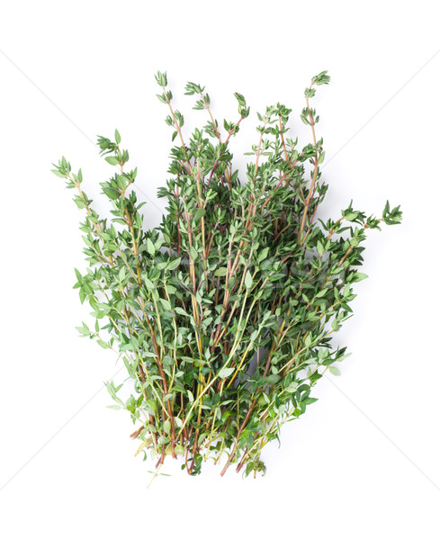 Fresh garden thyme herb Stock photo © karandaev