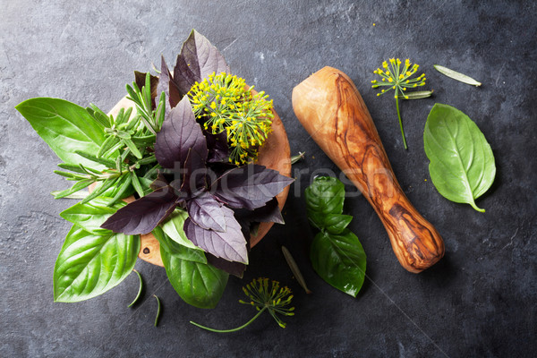 Foto stock: Frescos · jardín · hierbas · piedra · mesa · albahaca