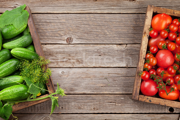 [[stock_photo]]: Fraîches · jardin · tomates · concombres · herbes · cuisson