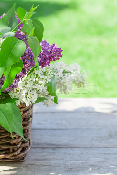 красочный сирень цветы корзины саду таблице Сток-фото © karandaev