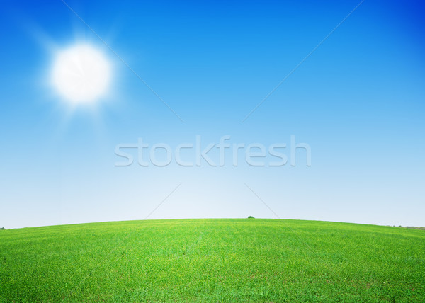 Hierba verde campo cielo azul cielo árbol primavera Foto stock © karandaev