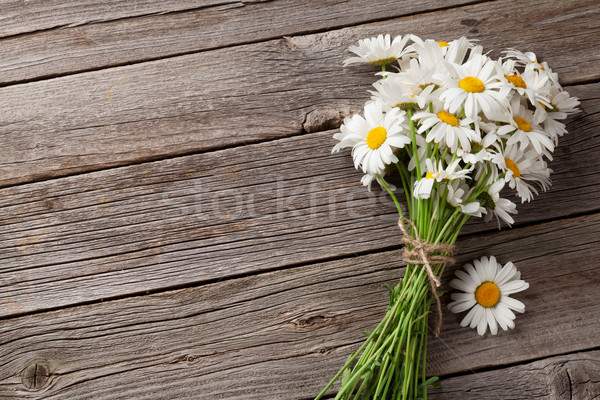 Daisy camomilla fiori legno giardino tavola Foto d'archivio © karandaev