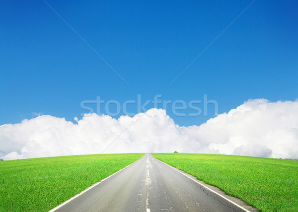 Asfalt rutier verde câmp Blue Sky vară Imagine de stoc © karandaev