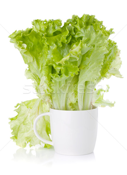 Fraîcheur vert laitue salade tasse blanche Photo stock © karandaev