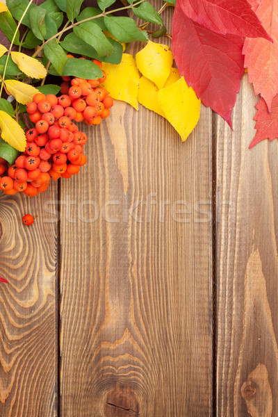 Autumn leaves and rowan berries over wood background Stock photo © karandaev
