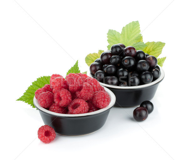 Black currant and raspberry Stock photo © karandaev
