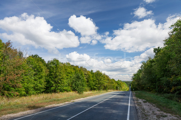 Road through the forest Stock photo © karandaev