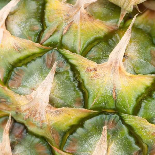 Macro food collection - Pineapple rind Stock photo © karandaev