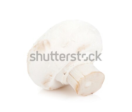 Сток-фото: шампиньон · гриб · изолированный · белый · природы · здоровья