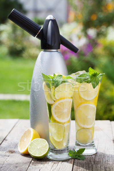 Homemade lemonade and siphon Stock photo © karandaev