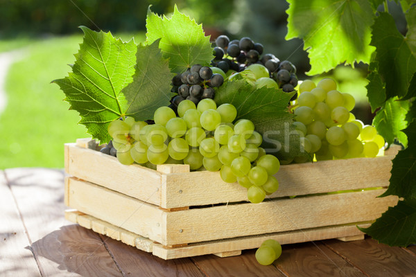 Vigne raisins blanche bois boîte Photo stock © karandaev
