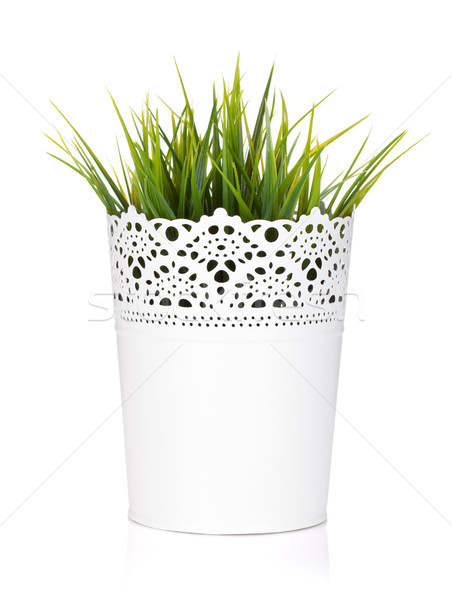Decorativo hierba maceta aislado blanco Pascua Foto stock © karandaev