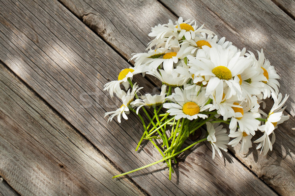 Daisy chamomile flowers on wood Stock photo © karandaev