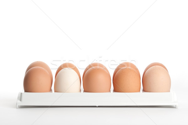 the hen's eggs in egg holder Stock photo © karandaev