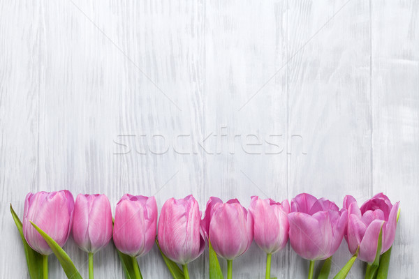 Fresh pink tulip flowers Stock photo © karandaev