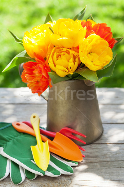 Colorful tulips and garden tools Stock photo © karandaev