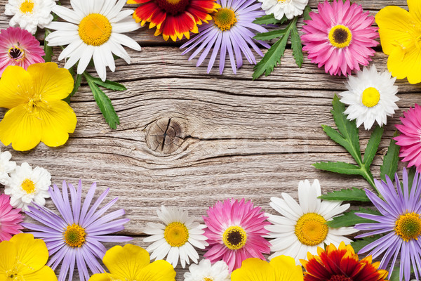 Garden flowers on wood Stock photo © karandaev