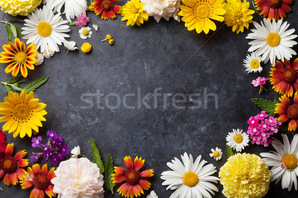 Garden flowers over stone table background Stock photo © karandaev