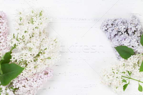 Zdjęcia stock: Kolorowy · liliowy · kwiaty · górę · widoku