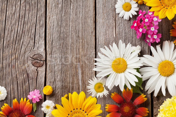 Garden flowers over wooden background Stock photo © karandaev