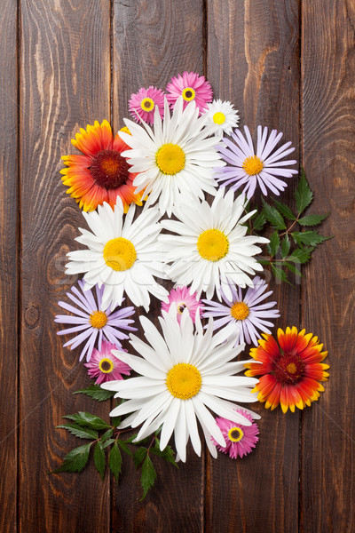Stock photo: Garden flowers