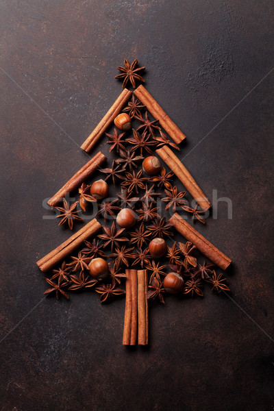 Anis canela temperos árvore de natal forma topo Foto stock © karandaev