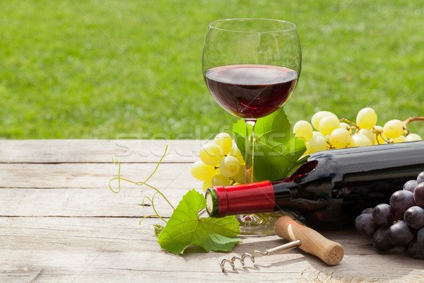 Vin rosu sticlă sticlă afara struguri însorit Imagine de stoc © karandaev