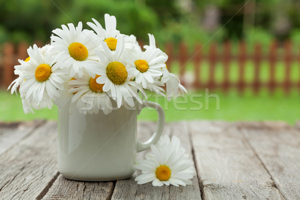 Daisy camomilla fiori legno giardino tavola Foto d'archivio © karandaev
