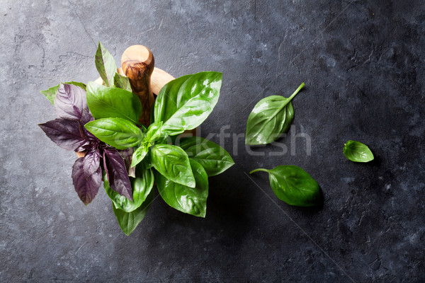 Fresh garden basil herbs in mortar Stock photo © karandaev
