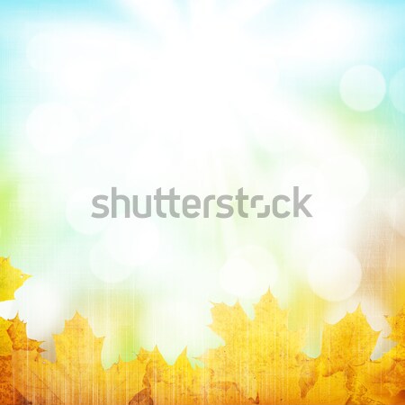 Autumn background with maple leaves Stock photo © karandaev